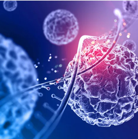 Platelet-Rich Plasma Therapy in Metro Detroit